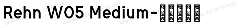 Rehn W05 Medium字体转换